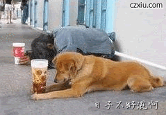 日子不好混啊